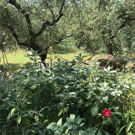 דירה Casa Lunaria *