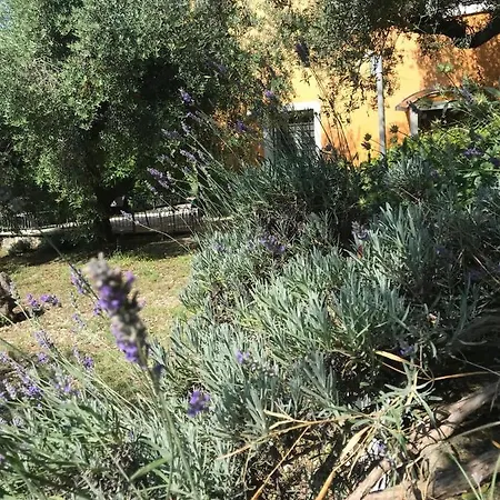 Casa Lunaria דירה Moscufo