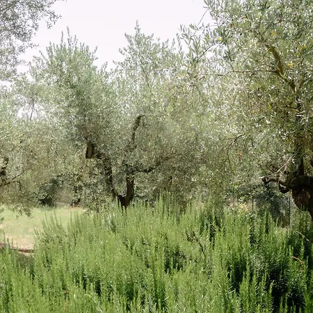 Casa Lunaria *