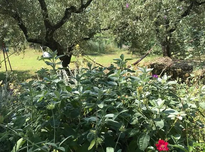 Apartment Casa Lunaria *