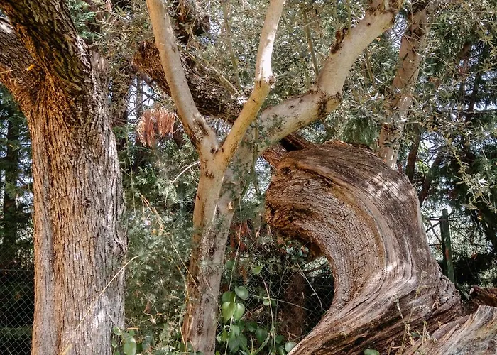 Apartment Casa Lunaria