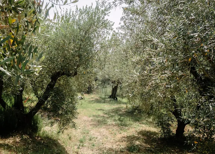 Casa Lunaria Moscufo