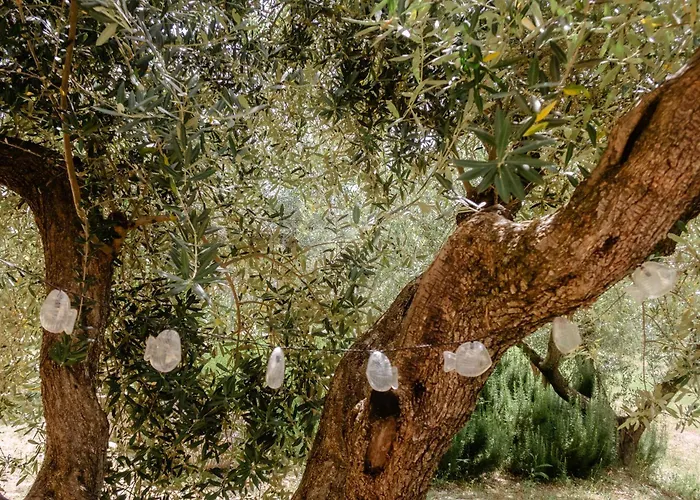 Casa Lunaria Apartment