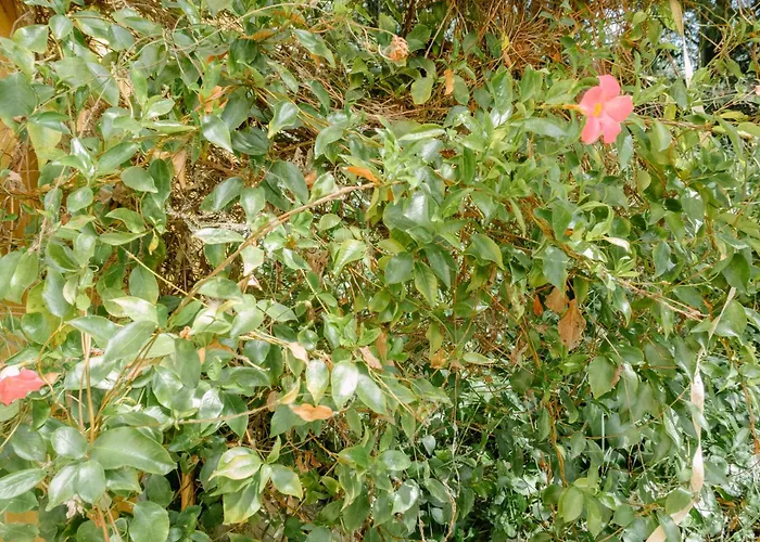 Casa Lunaria * Moscufo